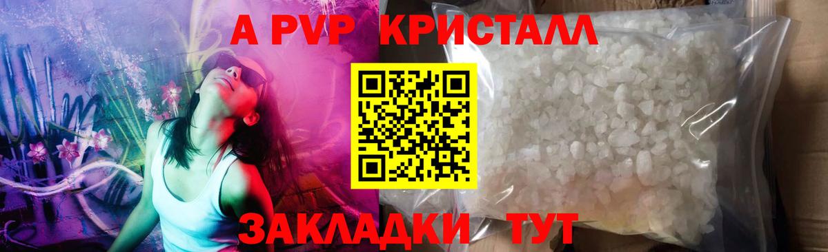 A PVP СК Электрогорск