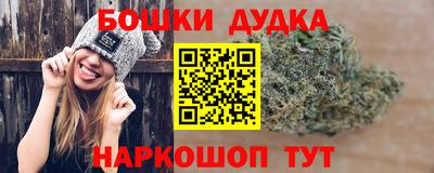 крисы Коммунар