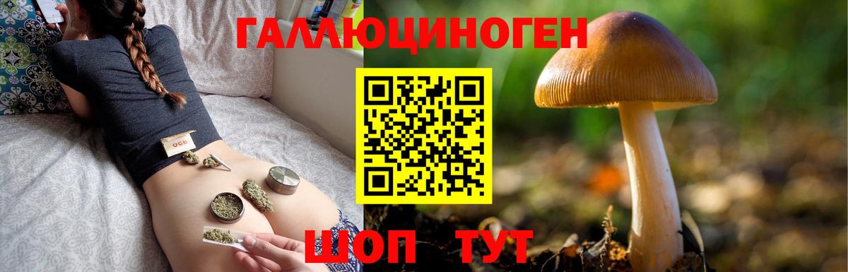 Псилоцибиновые грибы MAGIC MUSHROOMS  Псилоцибиновые грибы MAGIC MUSHROOMS  где найти наркотики  Электрогорск  Вход с VPN 